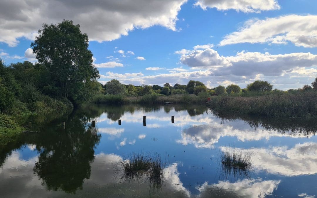 How Flooding Shapes the Stanwick Lakes Landscape