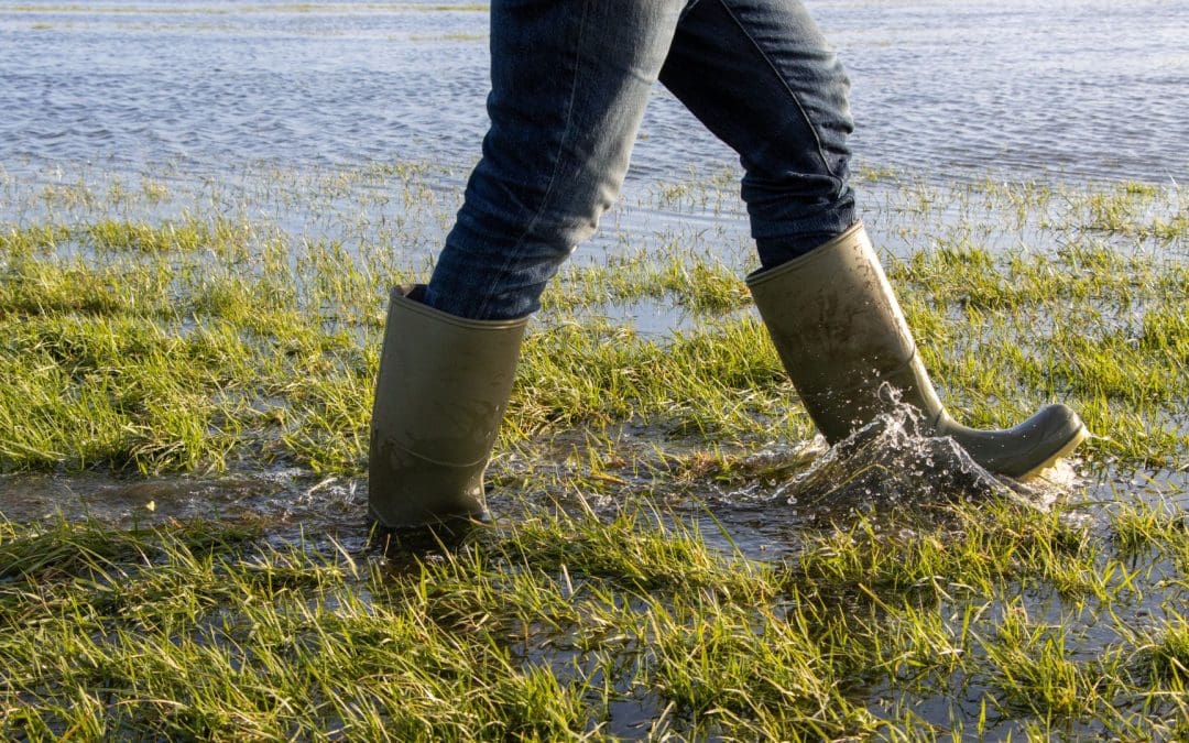 Water levels: map and walking routes