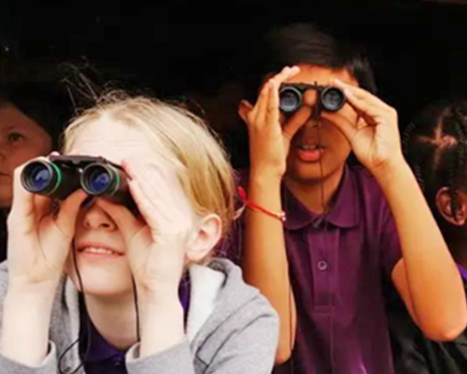 Two school children peering through binoculars to observe our local bird species. 