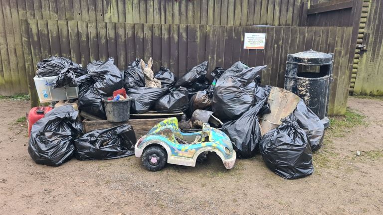 Litter pick