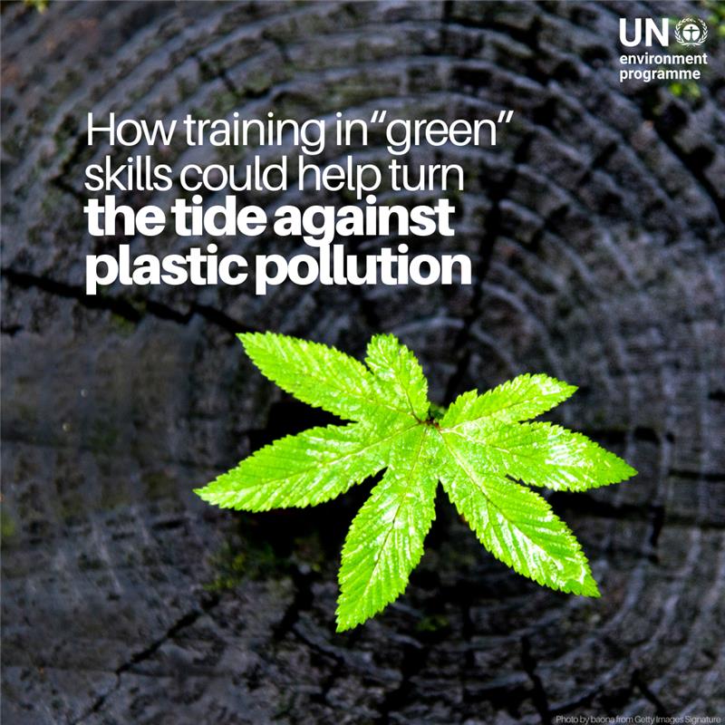 Training_green_skills_story