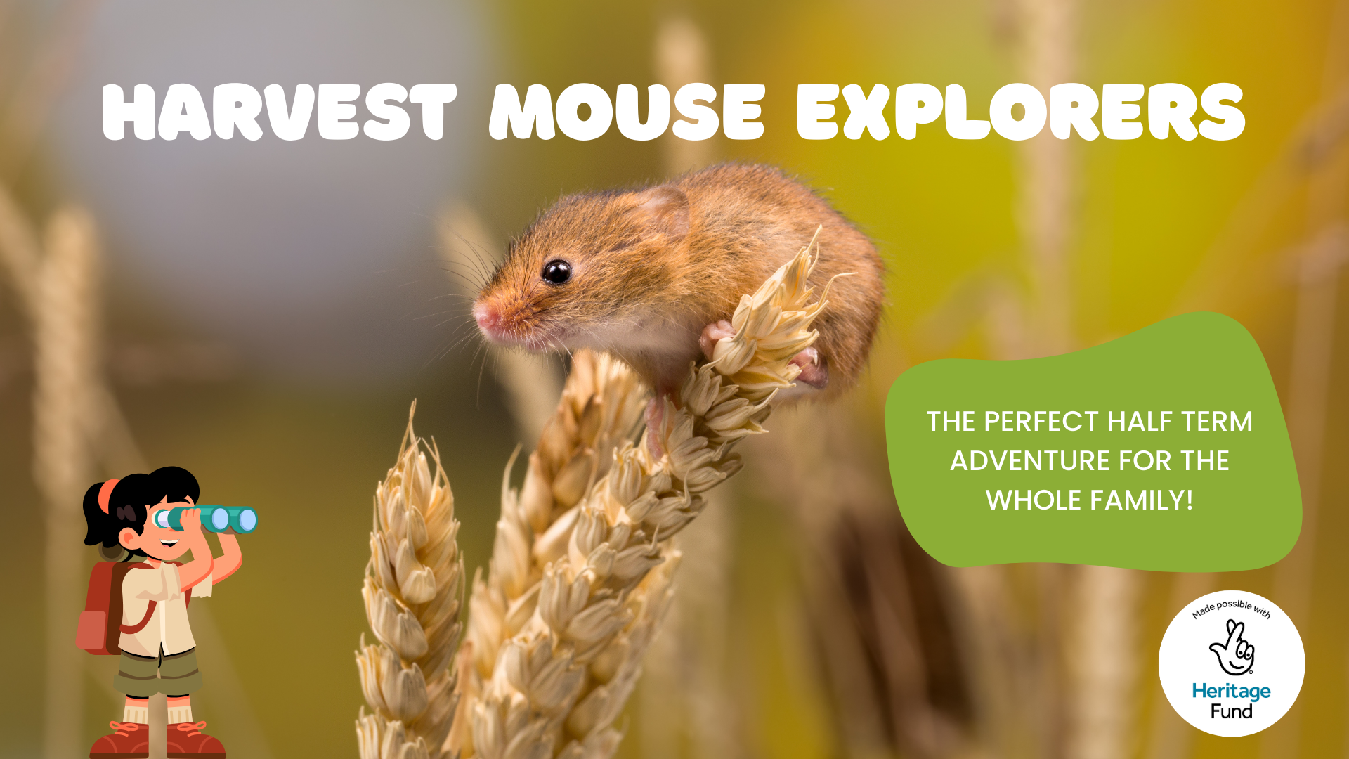 MouseExplorers_V2_web