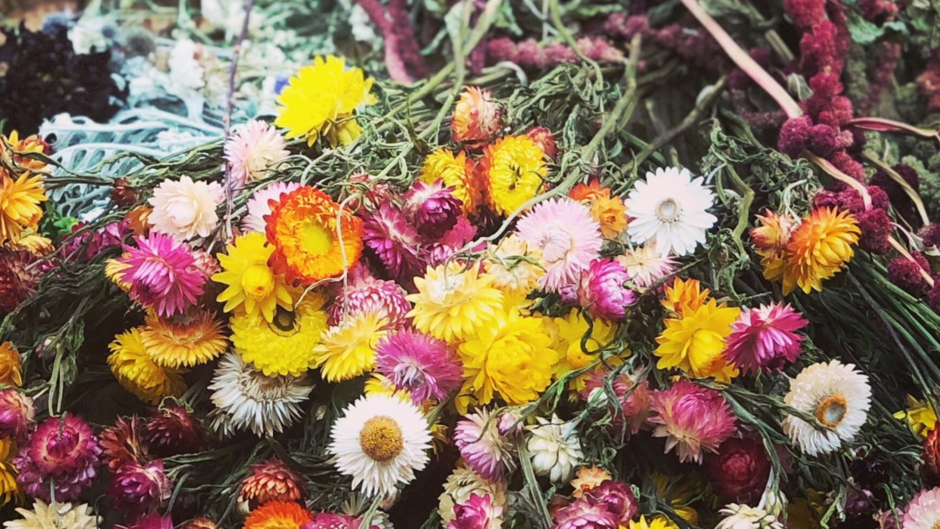 Flower arranging